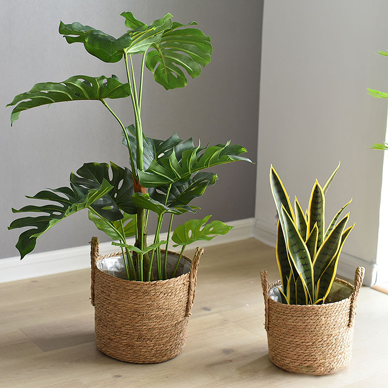 قطعة واحدة من مزارعي مقبض الرو - مراجعة Rattan Tray Handle وسعره